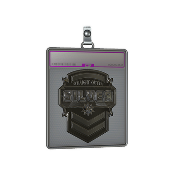 Sticker Slab | Silver (Foil)