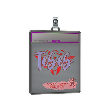 Sticker Slab | TeSeS (Holo) | Antwerp 2022