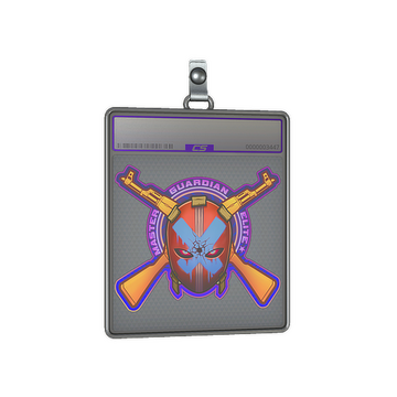 Sticker Slab | Master Guardian Elite (Holo)