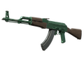 AK-47 | Зимняя зелень