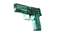 P250 | X-Ray (Minimal Wear) P250 — CS2 skin in the Chameleon Roulette case on DuckSkins