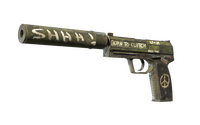USP-S | Flashback (Minimal Wear) USP-S — CS2 skin in the Eren Yeager case on DuckSkins