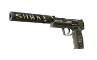USP-S | Flashback (Battle-Scarred) USP-S — CS2 skin in the Danger Zone case on DuckSkins