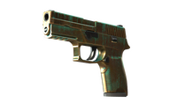 StatTrak™ P250 | Verdigris (Field-Tested) P250 — CS2 skin in the Torque case on DuckSkins