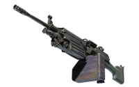 M249 | Spectrogram (Field-Tested) M249 — CS2 skin in the Golden Coil case on DuckSkins