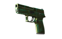 StatTrak™ P250 | Verdigris (Battle-Scarred) P250 — CS2 skin in the Medusa case on DuckSkins