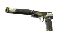 USP-S | Torque (Well-Worn) USP-S — CS2 skin in the Amon Ra case on DuckSkins