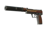 USP-S | Business Class (Field-Tested) USP-S — CS2 skin in the Skulls case on DuckSkins