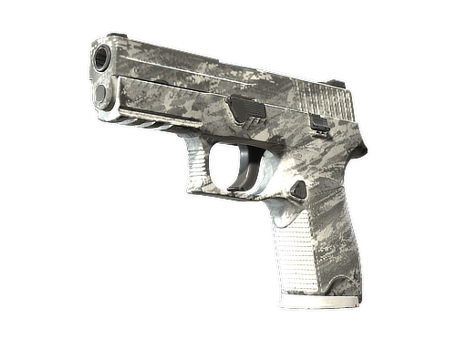 P250 | Sleet (Well-Worn)