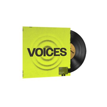 StatTrak™ Music Kit | ShockOne, Voices