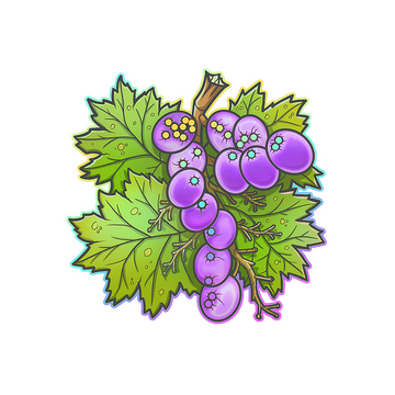 Sticker | From The Vine (Holo)