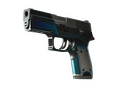 P250 | Валентность