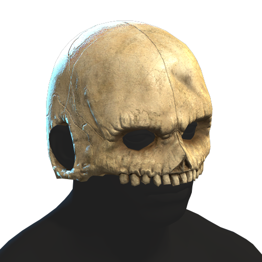 Skull Helmet