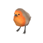 content image