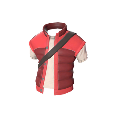 The Delinquent's Down Vest