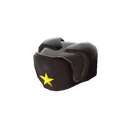 Unusual Officer's Ushanka
