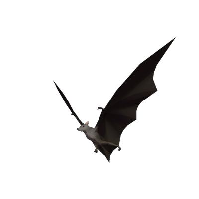 Guano