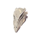 Haunted Raven's Visage