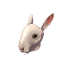 The Horrific Head of Hare