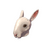 The Horrific Head of Hare