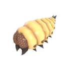 content image