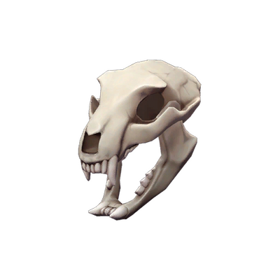 Strange Bare Bear Bones