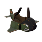 content image