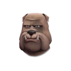 content image