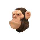 content image