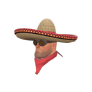 Unusual Wide-Brimmed Bandito