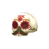 Strange Corpus Christi Cranium