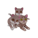 Strange Catastrophic Companions