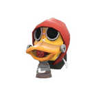 content image