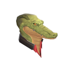 content image