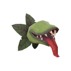 content image