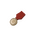 Gentle Manne's Service Medal