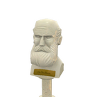 content image
