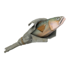 content image