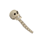 content image