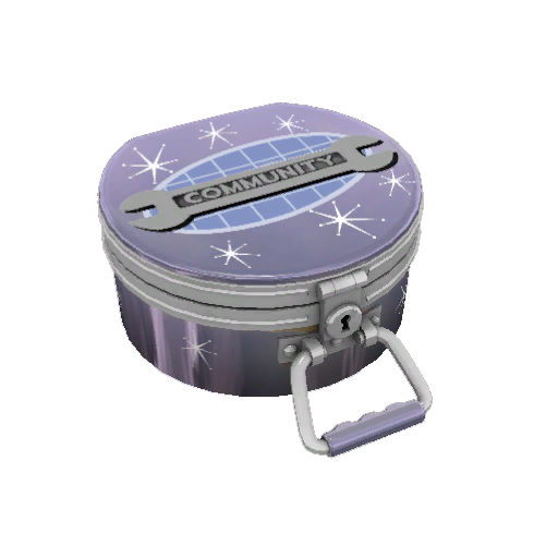Rainy Day Cosmetic Case