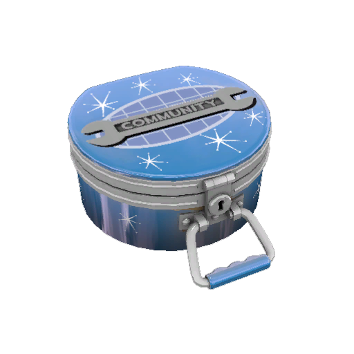 Blue Moon Cosmetic Case