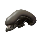 content image