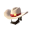 The Lone Star
