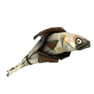 Beachy Boy Holy Mackerel (Field-Tested)
