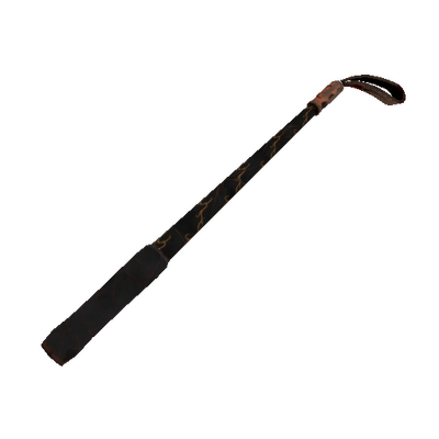 Sunriser Disciplinary Action (Well-Worn)