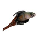 Team Serviced Holy Mackerel (Well-Worn)