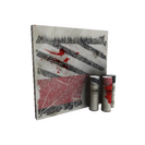 Strange Bomb Carrier War Paint (Battle Scarred)