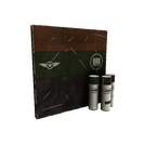 Unusual Stealth Specialist War Paint (Minimal Wear)