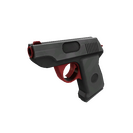 Team Detail Pistol (Factory New)