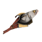 content image